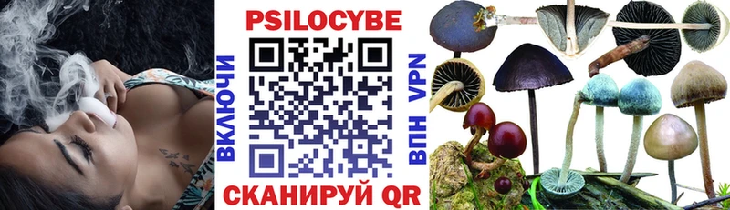 Псилоцибиновые грибы Psilocybine cubensis  Купить закладки  Лодейное Поле 